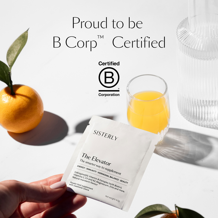 SISTERLY The Elevator