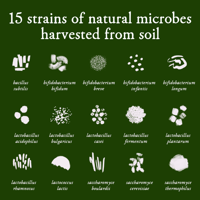Illustrations of 15 strains of natural microbes harvested from soil on a green background.