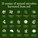 Illustrations of 15 strains of natural microbes harvested from soil on a green background.