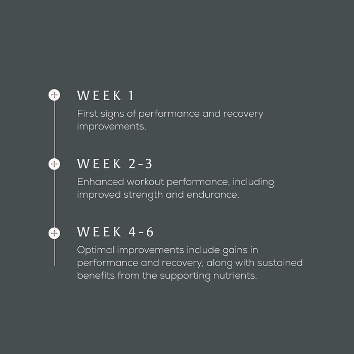 A dark grey timeline shows True Creatine+ progress: Week 1—first performance, recovery, and muscle health gains. Weeks 2-3—enhanced workouts, strength, and endurance. Weeks 4-6—optimal performance and sustained benefits.