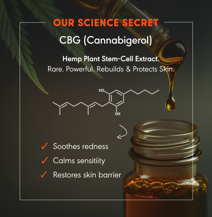 RESILIENCE. Night Soufflé