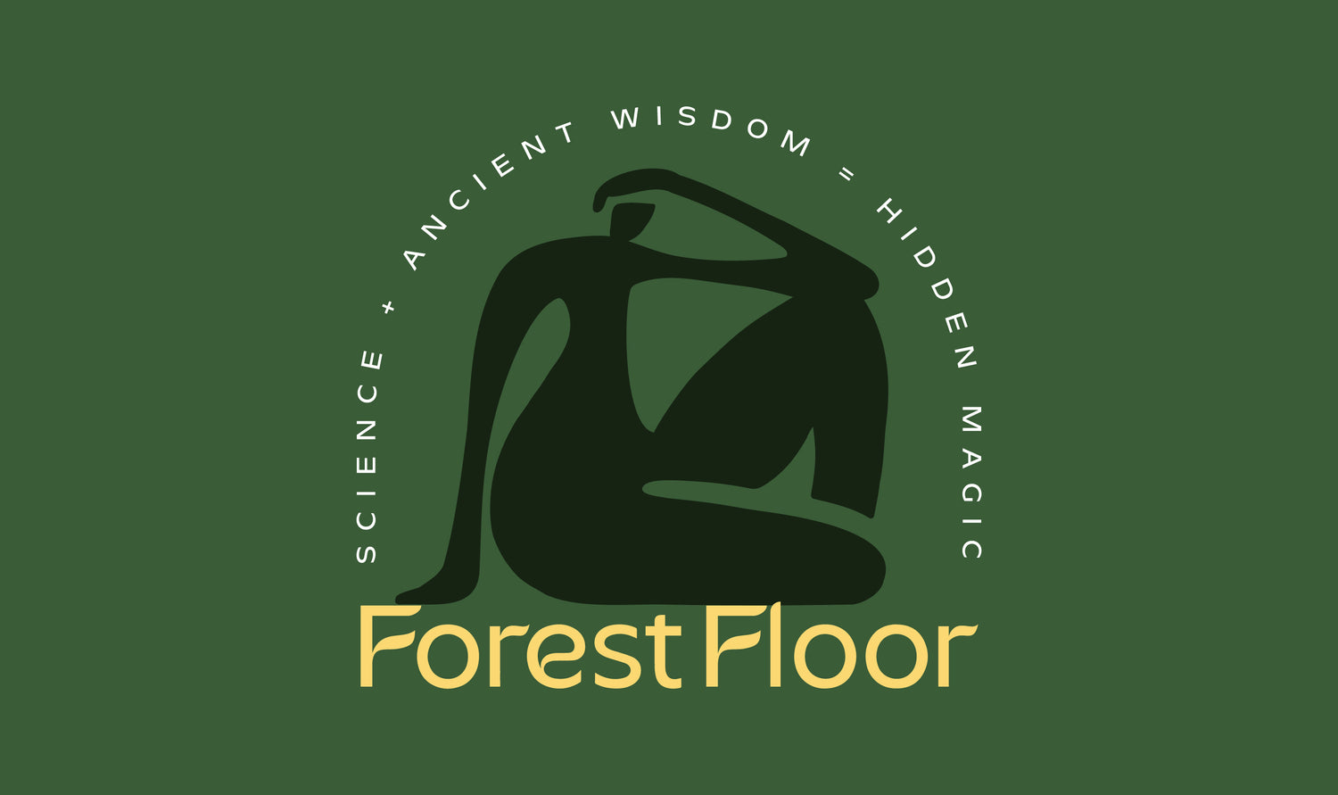MEET Forest Floor