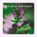 join forces with nature text with a flower showing the microbes with an illustration which are used in our liquid probiotics